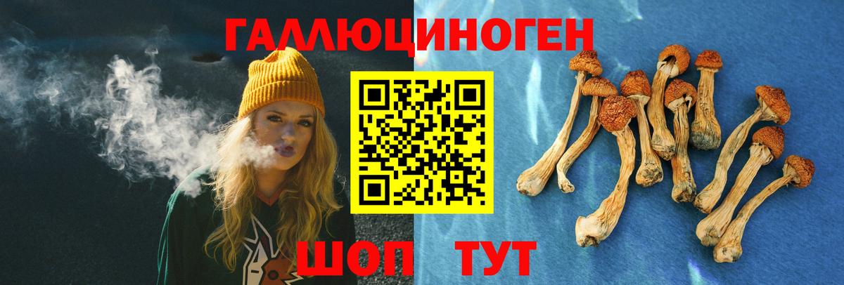 Бор  Псилоцибиновые грибы MAGIC MUSHROOMS  Галлюциногенные грибы Psilocybine cubensis  Вход с VPN 
